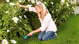 �������������� ������� AGS 7.2 LI