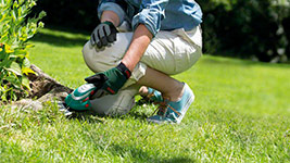 �������������� ������� ��� ����� � ������, �������� Isio