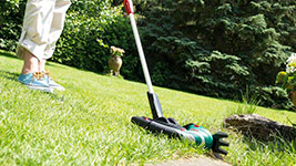 �������������� ������� ��� ����� � ������, �������� Isio