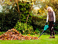 ������� �������-������������ ALS 2400