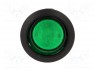 ROCKER; DPST; Положения: 2; OFF-ON; 10A/250ВAC; зеленый; Серия: R13