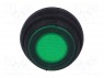 ROCKER; DPST; Положения: 2; OFF-ON; 10A/250ВAC; зеленый; IP65; 50мОм