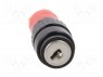 Switch: key switch; 2-position; Switch.method: ON-ON; Ø16mm; 90°