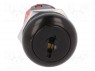Switch: key switch; 3-position; Switch.method: ON-ON-ON; Ø19.3mm