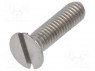 ����; M2,5x10; DIN: 963A; �������: ��������; ������; 0,6��