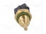 Датчик: температуры; Pt1000; кл.B; Эл.подкл: AMP JPT; -50÷150°C