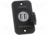 ������������ ���� �������; ������ USB A x 2; 5�/2x2,4A; ������