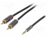 ������� Aux; RCA; ��������; ����� RCA x2,Jack 3,5�� 3pin �����